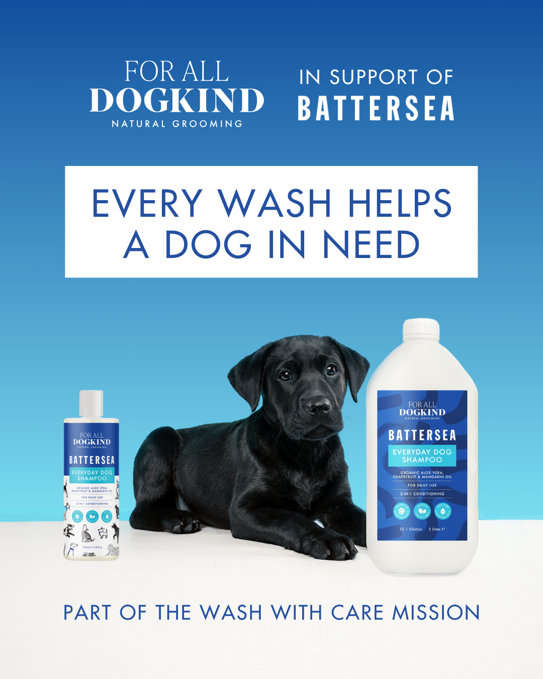 Behind the Design: How the FADK x Battersea Shampoo Collaboration Came to Life