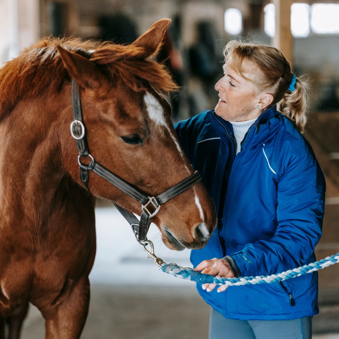 Middle aged woman gently holding and connecting with a brown horse inside a stable, highlighting the emotional bond in equine care.