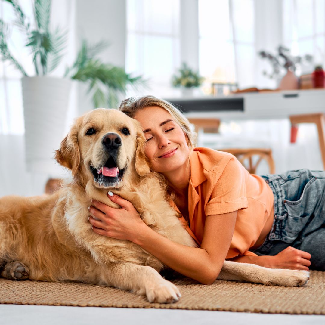 Woman cuddling golden retriever on floor in home office
