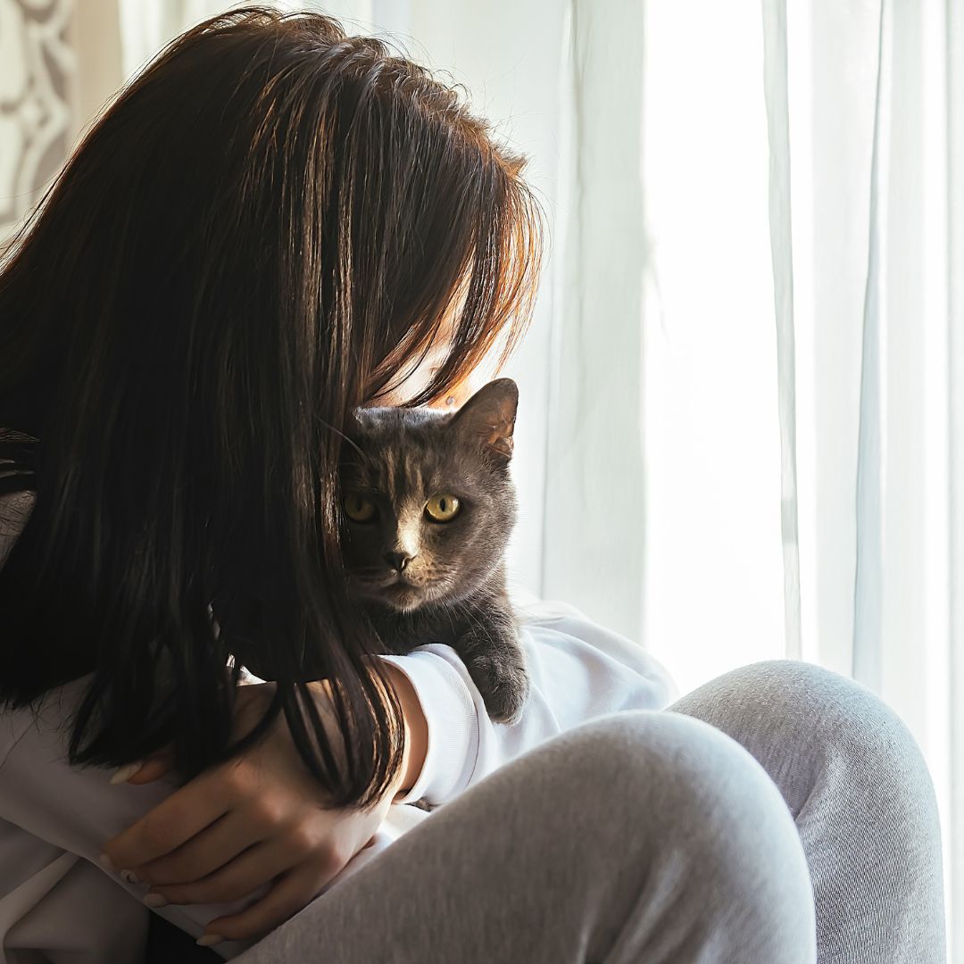 Woman hugs a grey cat in soft light by window