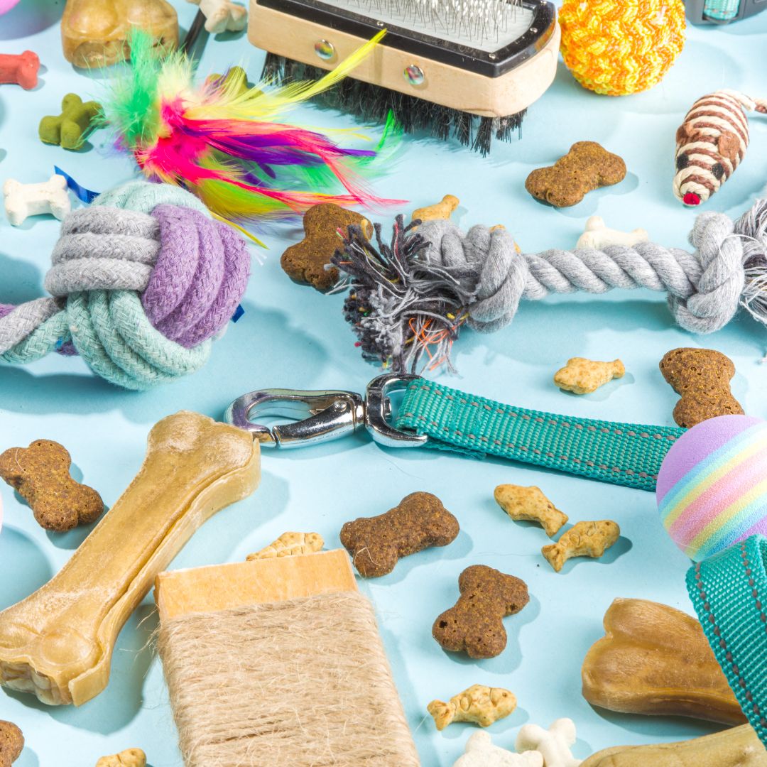 Colourful pet treats, toys and collar scattered on blue background