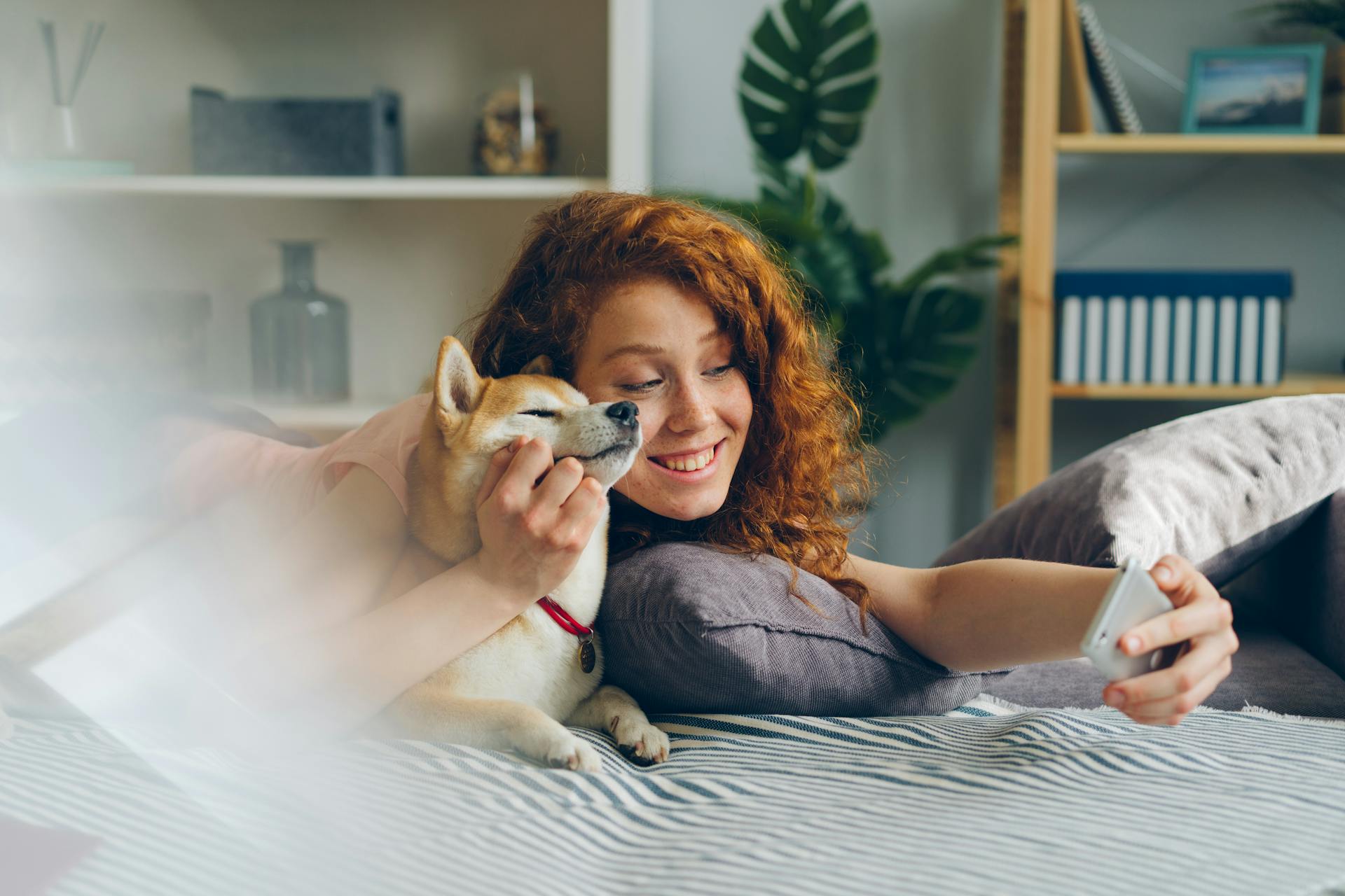 A smiling red-haired woman lying on a bed, cuddling her Shiba Inu dog while taking a selfie with her smartphone in a cosy, modern bedroom.