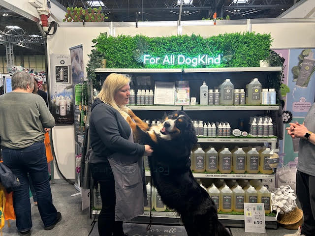 large dog on back legs with front paws on a woman in front of a trade stand