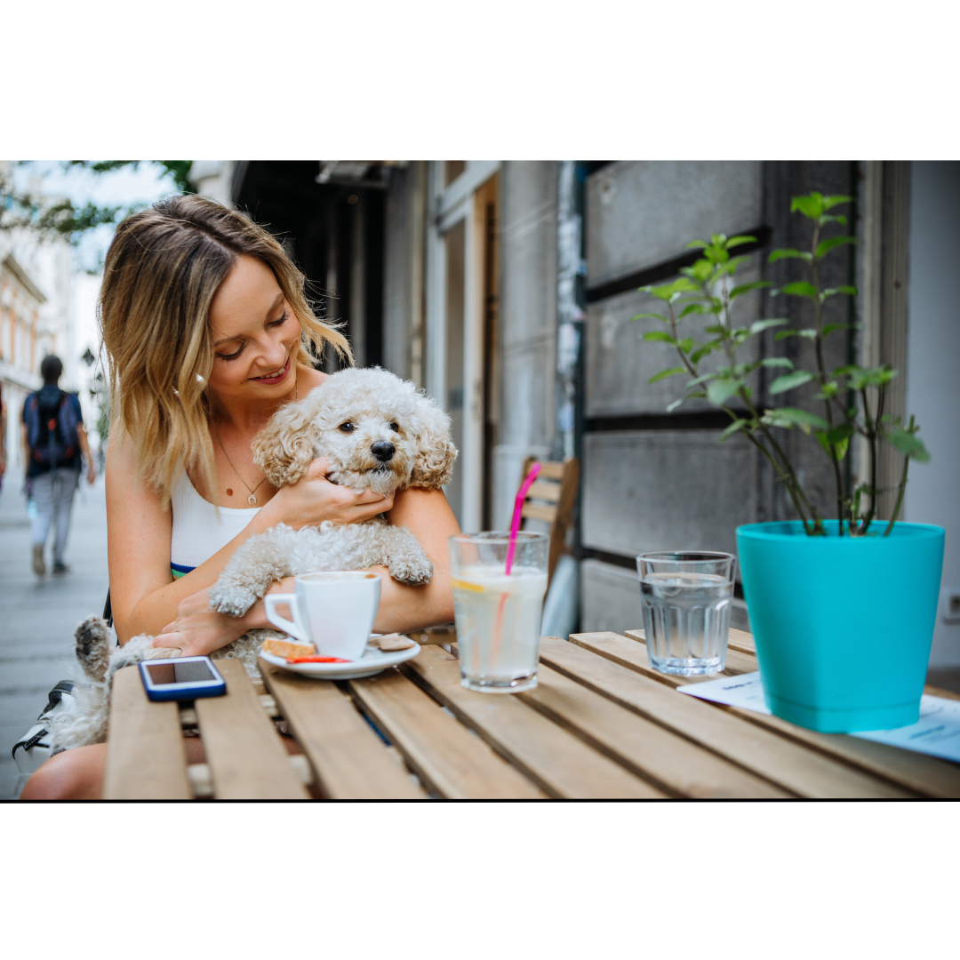 Local vs. Global, which influencer is right for your pet brand?