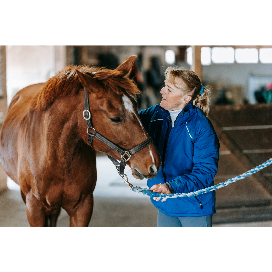Middle aged woman gently holding and connecting with a brown horse inside a stable, highlighting the emotional bond in equine care.